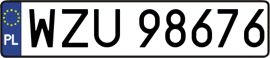 WZU98676