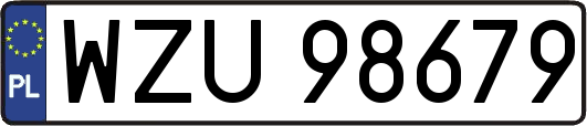 WZU98679