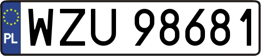 WZU98681