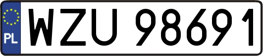 WZU98691