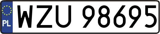 WZU98695