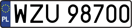 WZU98700