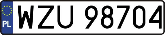 WZU98704