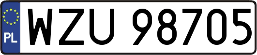 WZU98705