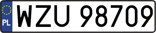 WZU98709