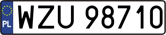 WZU98710
