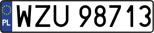 WZU98713