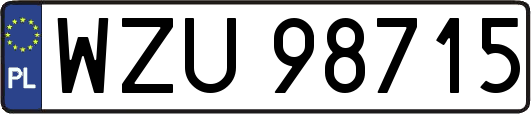 WZU98715