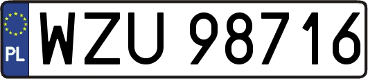 WZU98716