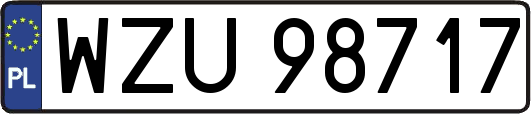 WZU98717