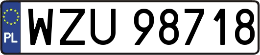 WZU98718