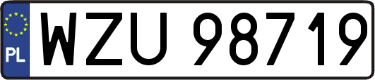 WZU98719