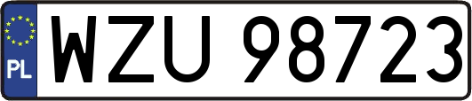 WZU98723