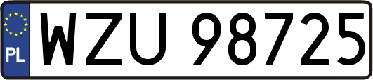 WZU98725