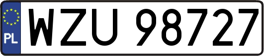 WZU98727