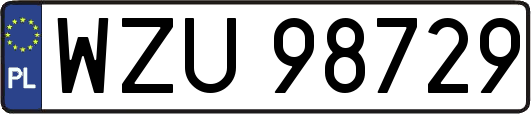 WZU98729