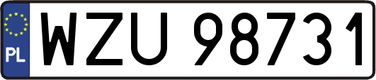 WZU98731