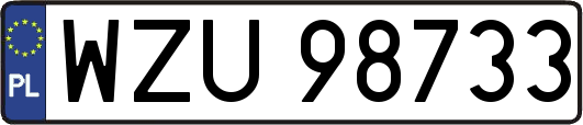 WZU98733