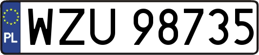 WZU98735
