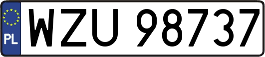 WZU98737