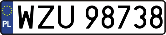 WZU98738