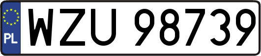 WZU98739