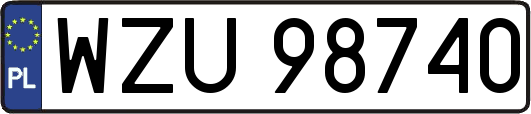 WZU98740