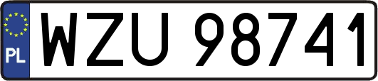 WZU98741