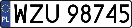 WZU98745