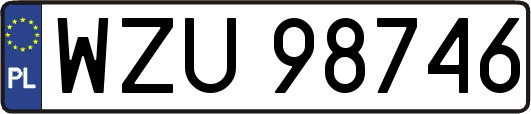 WZU98746