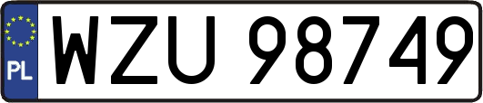 WZU98749