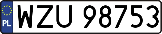 WZU98753