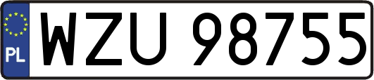 WZU98755