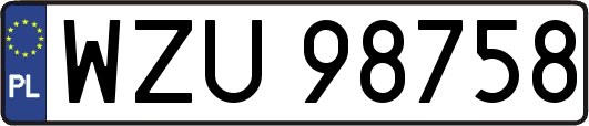 WZU98758