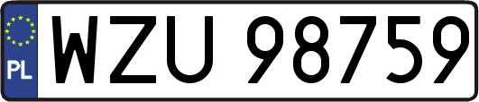WZU98759