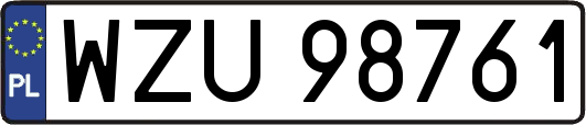 WZU98761