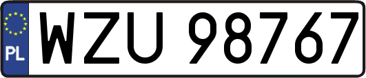 WZU98767