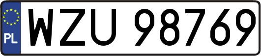 WZU98769