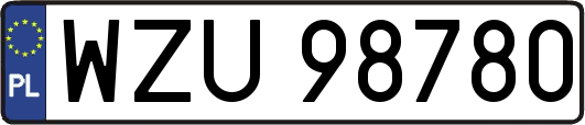 WZU98780