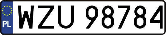 WZU98784