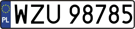 WZU98785