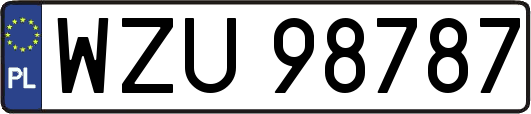 WZU98787