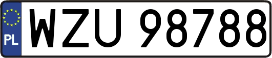 WZU98788
