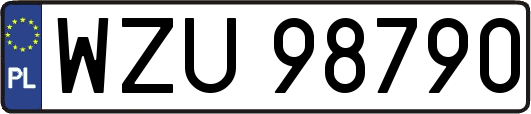 WZU98790