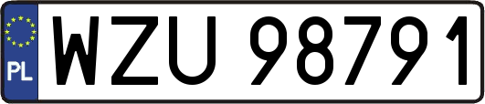 WZU98791