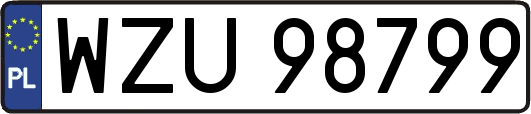 WZU98799