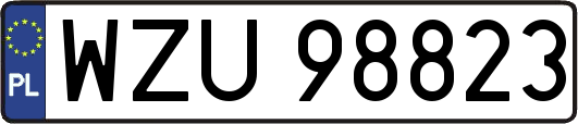WZU98823