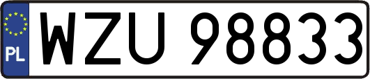 WZU98833