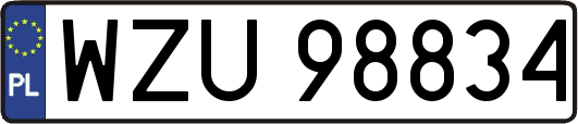 WZU98834