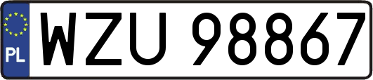 WZU98867